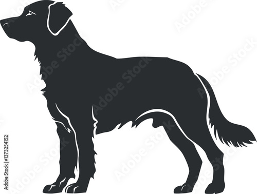 Silhouette of a standing dog with a bushy tail and pointed ears in black outline.
