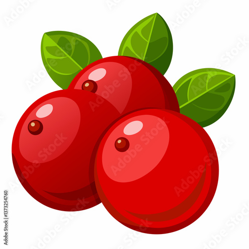 red cranberries with green leaves arranged on a white background, showcasing their vibrant color and natural texture.