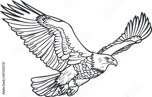 Black and white illustration of an eagle in flight, showcasing detailed wings and feathers.