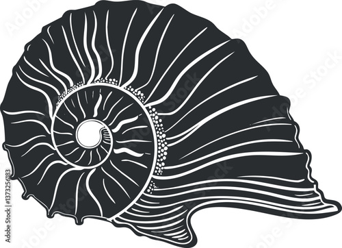 Black and white illustration of a nautilus shell with intricate spiral patterns.