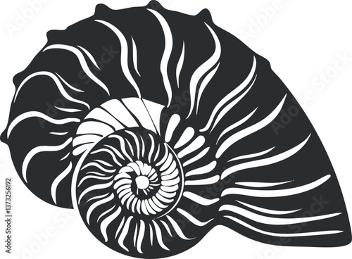 Black and white illustration of a spiral nautilus shell with intricate patterns and curves.