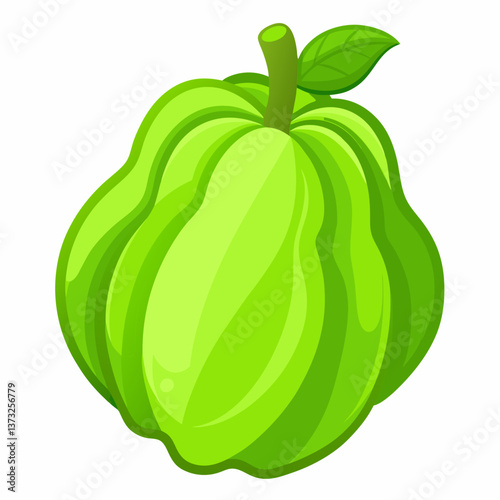 A single green fruit resting on a plain white background, highlighting its vibrant color and smooth texture.