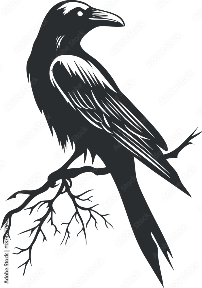 Naklejka premium Black silhouette of a raven perched on a branch, showcasing detailed feathers and outline.