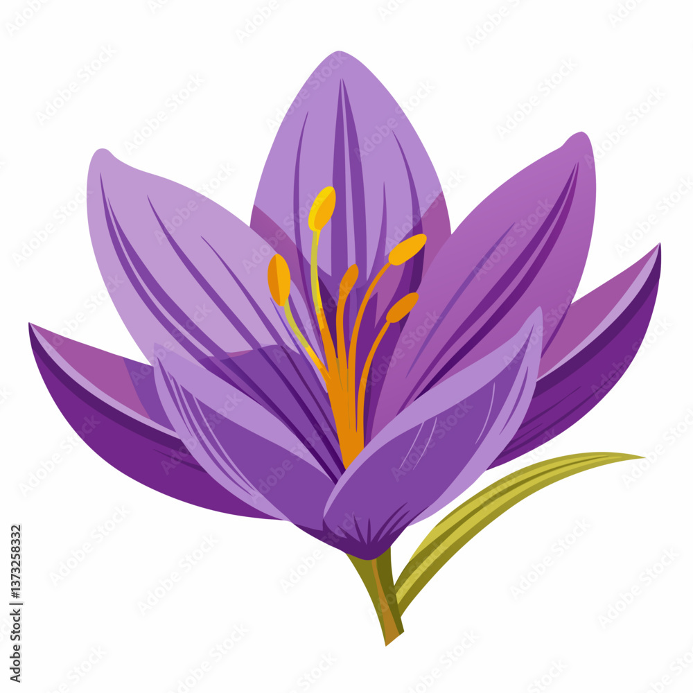 Fototapeta premium Violet flower isolated of a white background 