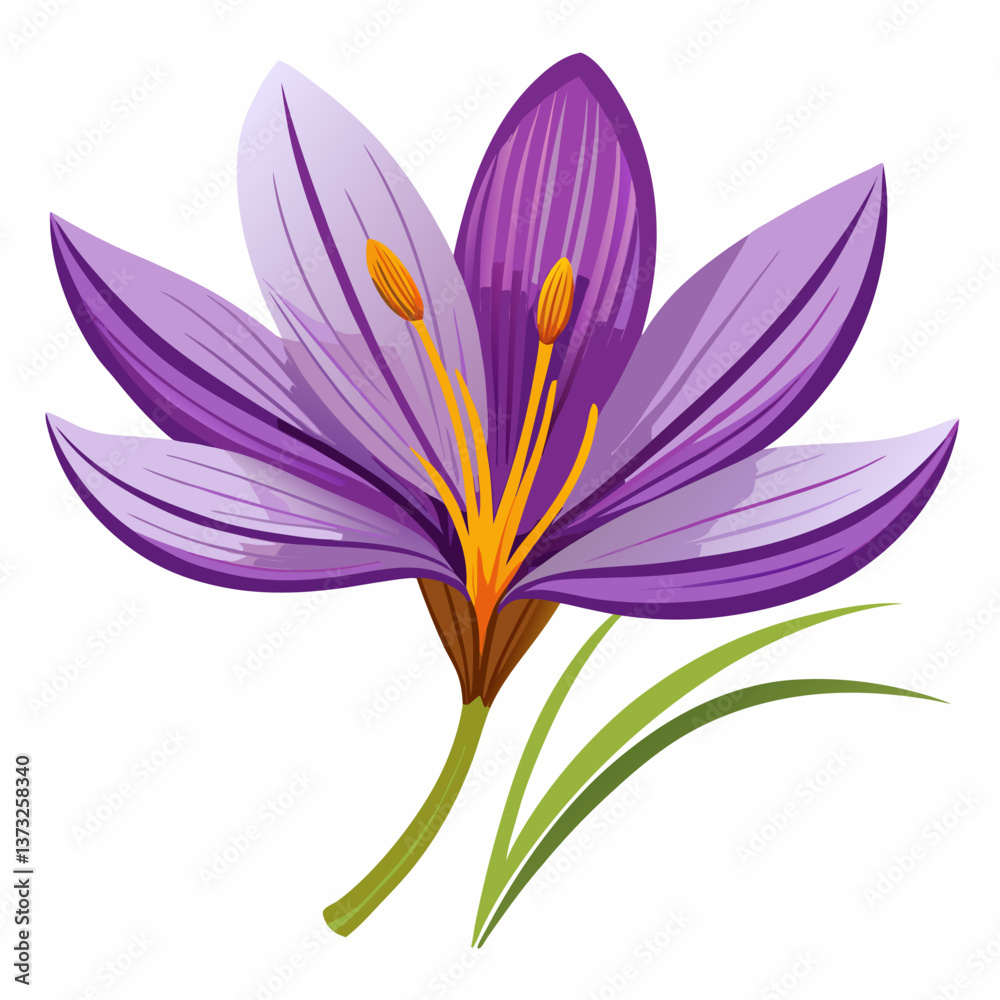 Fototapeta premium Violet flower isolated of a white background 