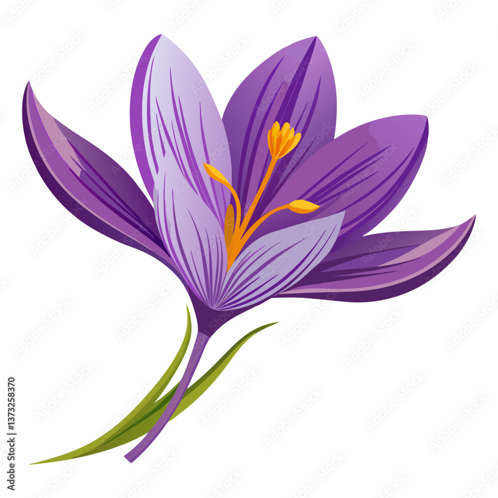Fototapeta premium Violet flower isolated of a white background 