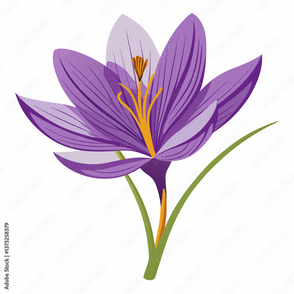 Fototapeta premium Violet flower isolated of a white background 