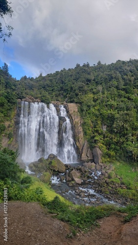waterfall in the forest