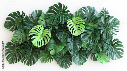 Lush green leaves create vibrant and tropical atmosphere, showcasing variety of shapes and sizes. This arrangement of foliage brings refreshing touch to any space, evoking feelings of tranquility