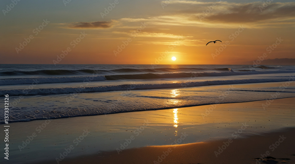 Naklejka premium sunset on the beach