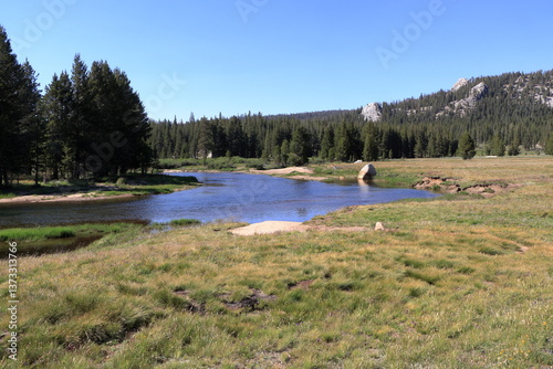 Tuolumne River flowing through Tuolumne Meadows in Yosemite National Park, California photo