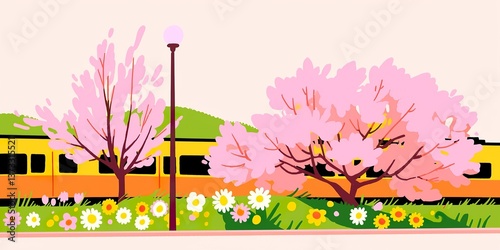 Blossoming cherry trees and...