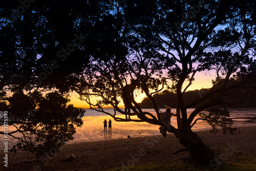 Coromandel Peninsula, New Zealand. Sunset at Shelly Beach near Coromandel town. People silhouetted on beach and others climbing Pōhutukawa tree.