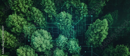 Fototapeta Naklejka Na Ścianę i Meble -  Scientists developing AI powered forest management tools, high-tech forestry station with real-time tree health data and AI-based forest sustainability systems, High-tech style