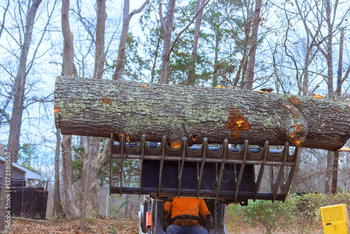 Valokuva Tractor lifts large log with grapple attachment in forested area on during defor