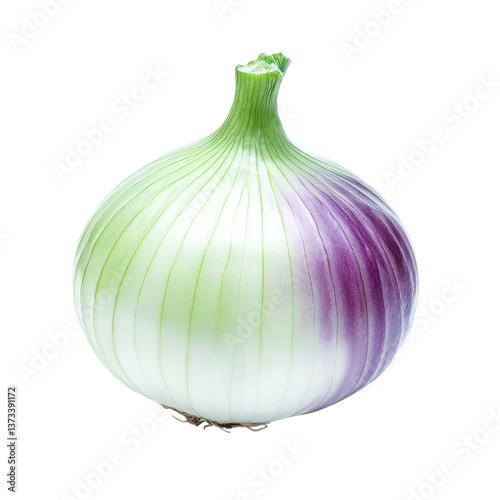red onion bulb - isolated vegetable with purple and green hues