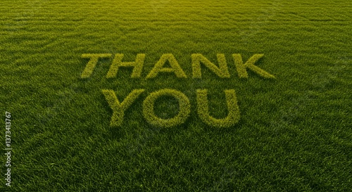 Thank You Message in Green Grass