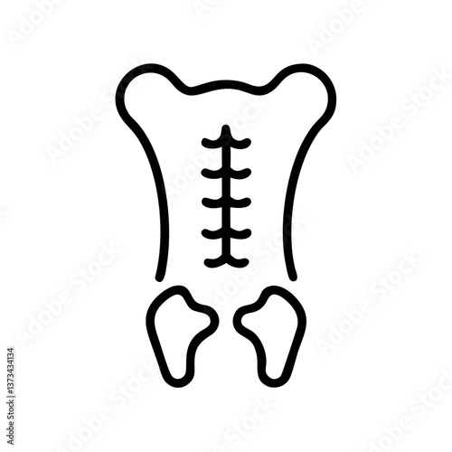 X-Ray Image of Human Backbone and Pelvis Outline  