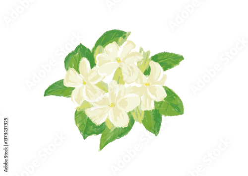 水彩画のジャスミンのお花