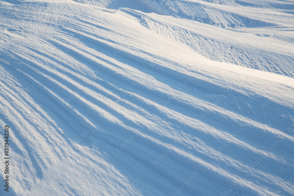 Snow texture. Wind sculpted patterns on snow surface. Wind in the tundra and in the mountains on the surface of the snow sculpts patterns and ridges (sastrugi). Arctic, Polar region. Winter background
