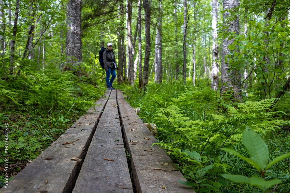 A woman stands on a narrow wooden path in the forest. Ecological trail among the trees. Bottom angle. Traveling and hiking in forest areas. Ecological tourism and outdoor activities. Summer landscape.