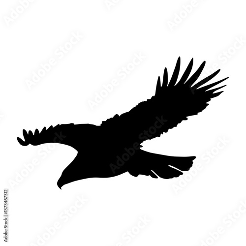 Eagle Silhouette Flying - Graphic Design Element