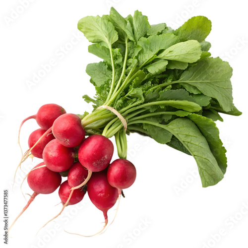 bunch of radish