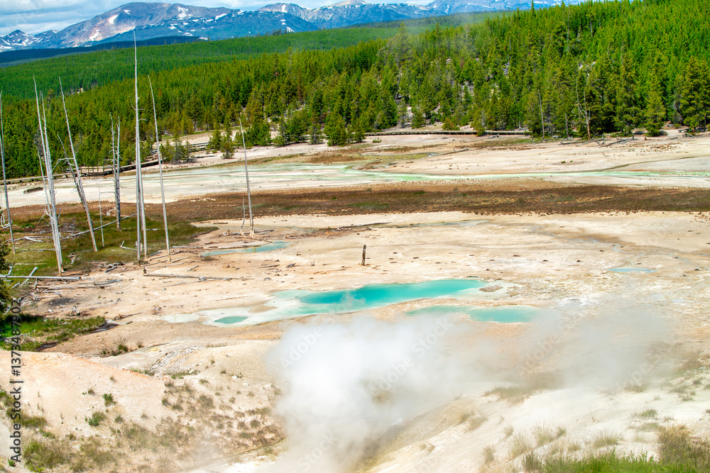 Norris Geyser Basin, Yellowstone National Park