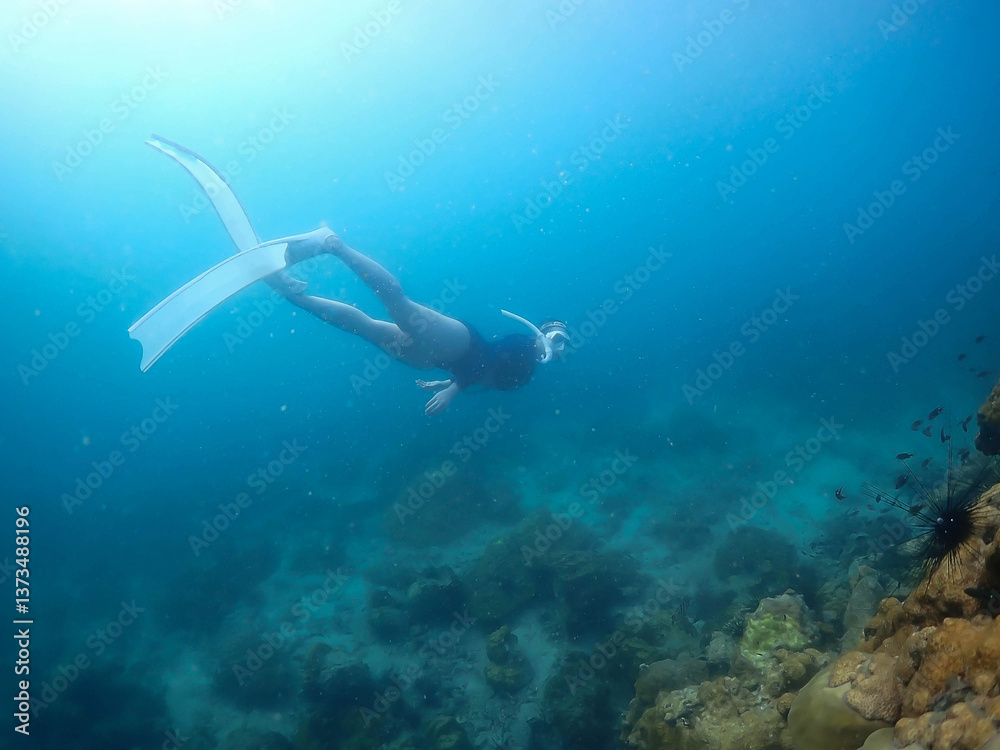 Obraz premium Beautiful snorkeling in the tropical sea.Travel lifestyle, watersport adventure, swim activity on summer beach holiday