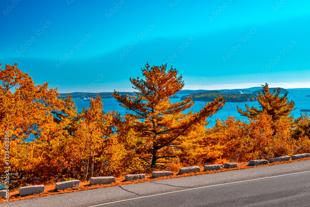 Acadia National Park in Vibrant Foliage Season, Stunning Autumn Landscapes in Maine