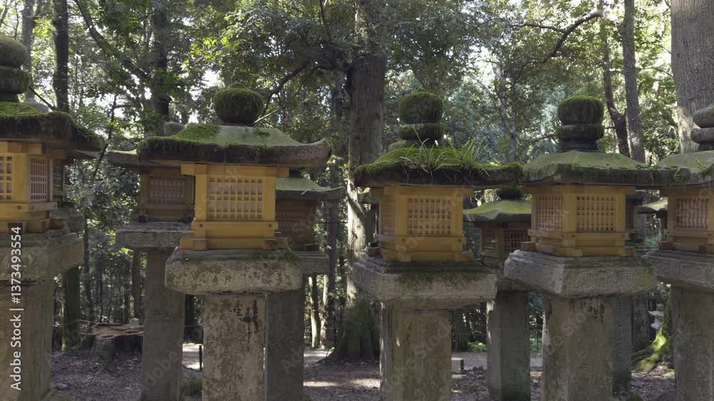Stone lantern temple shrines on pedestals line a shaded path at a tranquil Japanese shrine in Nara, Japan Stone lantern temple shrines on pedestals line a shaded path at a tranquil Japanese shrine in Nara, Japan