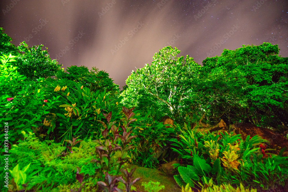 Amazing landscape of La Digue Island at night, Seychelles, Africa