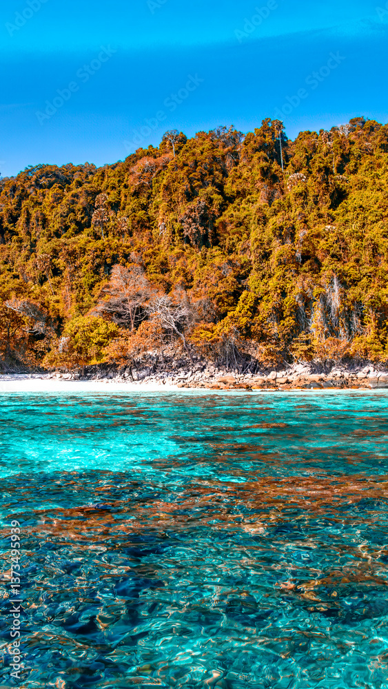 Pristine turquoise sea at Surin National Park, surrounded by untouched nature