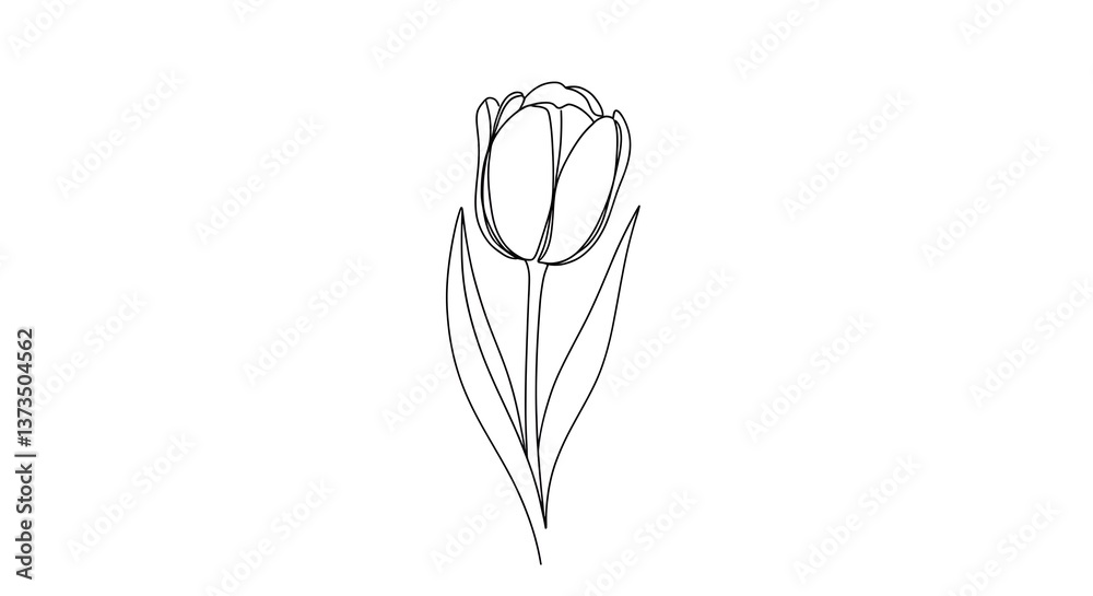 Minimal Tulip Outline Sketch Minimal Tulip Outline Sketch