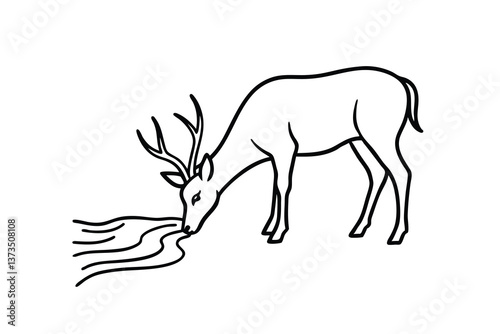 Buck Deer Drinking Water, Line Art, Nature Illustration, Wildlife Sketch