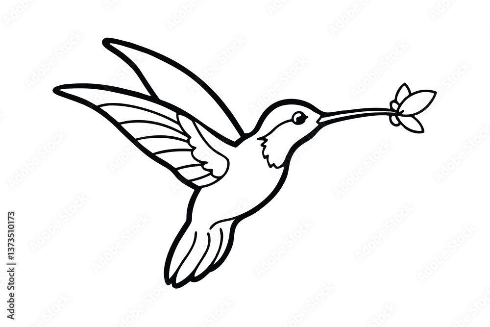 Fototapeta premium Hummingbird Line Art Bird, Flower, Nectar, Flight, Wings, Nature