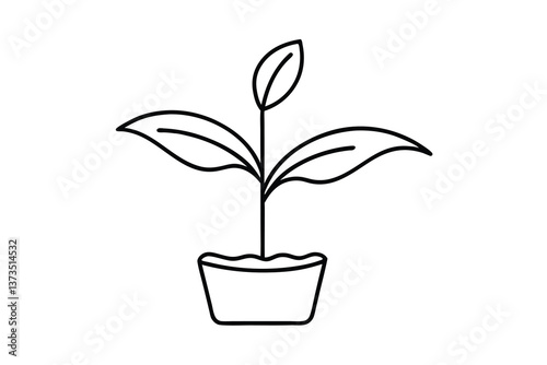 Simple Line Drawing of a Plant in a Pot, Growing, Sprout
