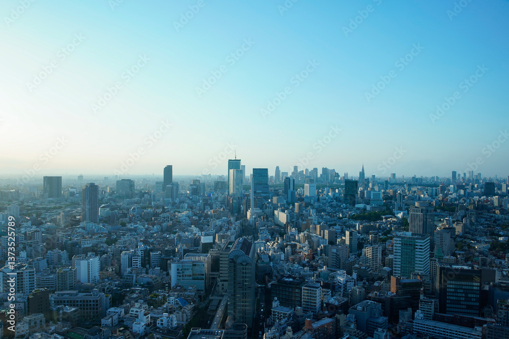 Fototapeta premium 東京（渋谷・新宿）の都市風景