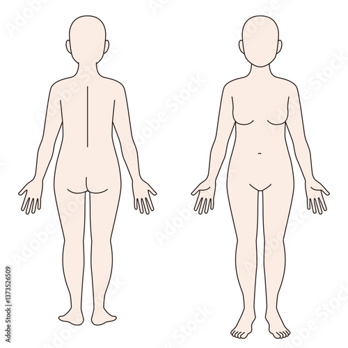 女性の全身　前・後ろ