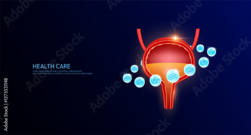 Bladder anatomy with medical icon sign symbol inside glowing ball surrounded. Human organ on dark blue background. Medical science health care concept. Banner Vector.