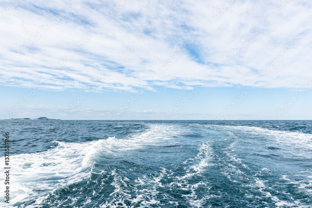 海 海