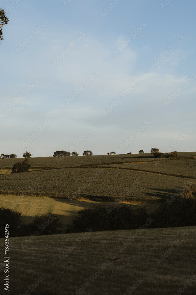 Obraz premium View to the green hill in the UK.