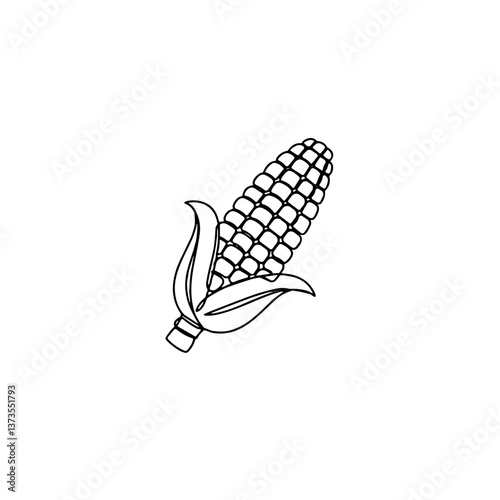 Corn on the cob outline illustration  