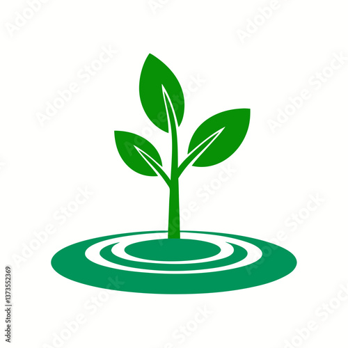 green plant growing from a tree