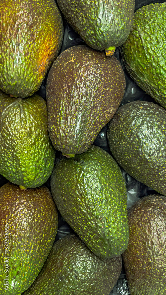 Lots of green avocados in a box in a store. Fruits on the counter in a supermarket Lots of green avocados in a box in a store. Fruits on the counter in a supermarket