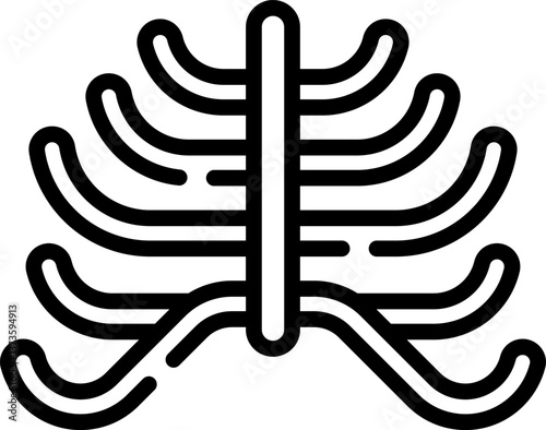 ribcage Illustration on a white background
