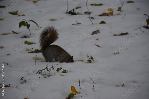 A trip to New York City is an unforgettable experience