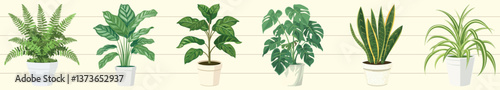 Stylish potted indoor plants illustration, isolated element set vector