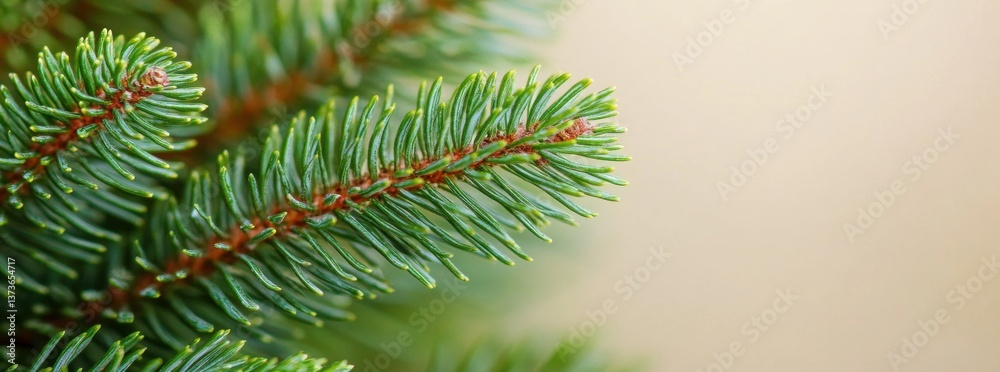 Fototapeta premium Close-up detailed view of a pine tree branch showcasing the intricate texture and vivid colors of coniferous foliage