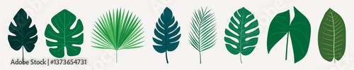 Diverse botanical leaf illustrations, isolated vector set